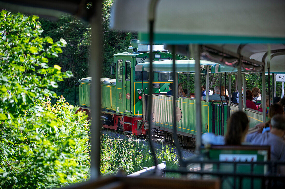 Tren del Ciment, im Bahnhof Pobla de Lillet, La Pobla de Lillet, Castellar de n'hug, Berguedà, Katalonien, Spanien