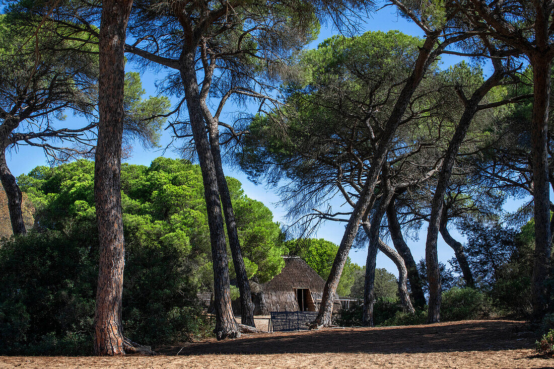 Die Hundertjährigen Hütten des Nationalparks Parque Nacional de Doñana, Almonte, Provinz Huelva, Region Andalusien, Spanien, Europa