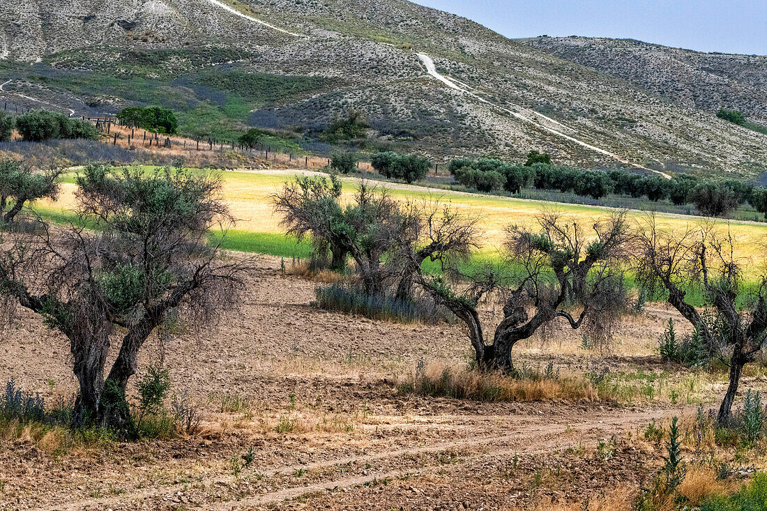 Landscape from the window inside the Strawberry train that goes from Madrid Delicias train station to Aranjuez city Madrid, Spain.