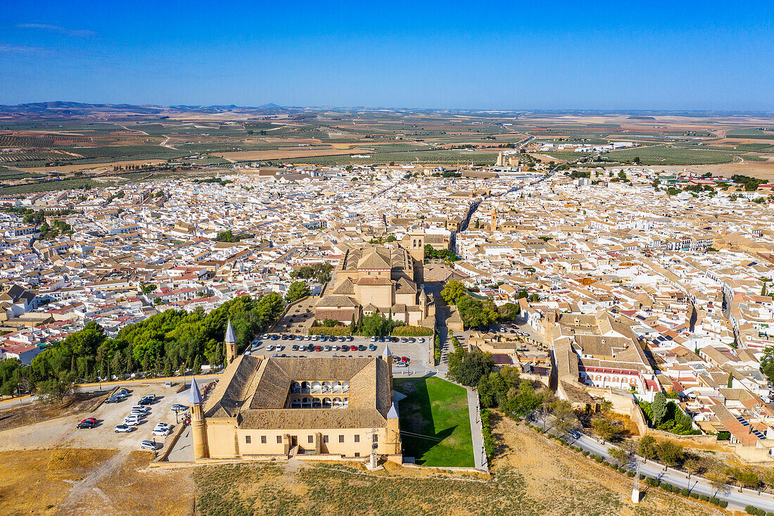 Luftaufnahme der Altstadt von Osuna, der Universitätsschule und des Kollegs Santa Maria von Osuna, Sevilla Andalusien, Spanien