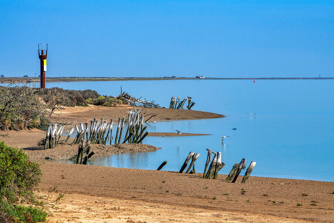 Strand vor dem Sanlúcar de Barrameda Parque Nacional de Doñana Nationalpark, Almonte, Provinz Huelva, Region Andalusien, Spanien, Europa