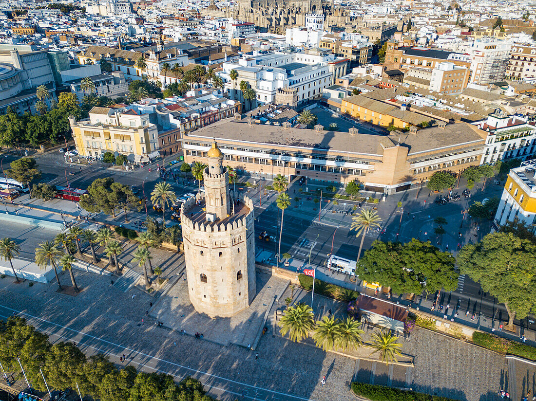 Luftaufnahme des Torre del Oro, was übersetzt Turm aus Gold bedeutet - historisches Wahrzeichen aus dem XIII Jahrhundert in Sevilla, Andalusien, Spanien