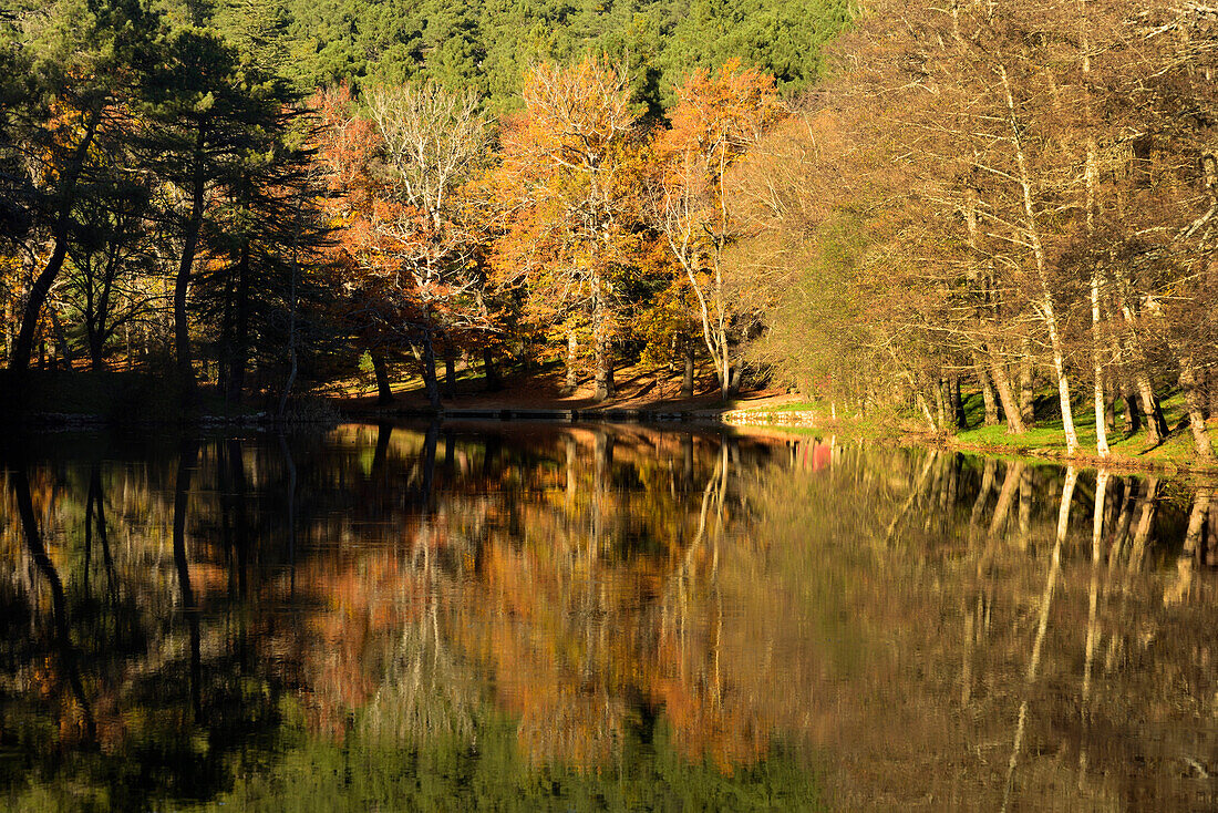 Autumn in Las Navas del Marqués, province of Ávila.