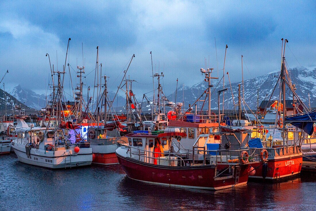Rote Fischerboote an einem Steg in Reine, Moskenes, Insel Moskenesøya, Lofoten, Norwegen