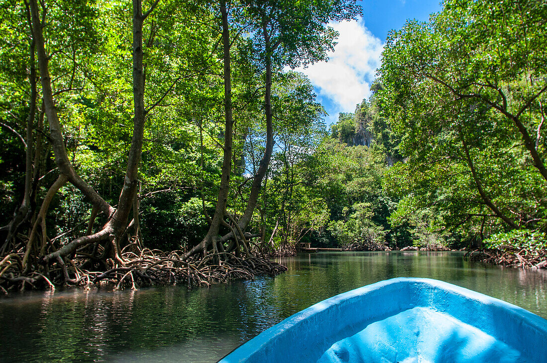 Bootsfahrt durch den Regenwald, Mangroven. Ökotourismus. Los Haitises National Park, Sabana de La Mar, Dominikanische Republik