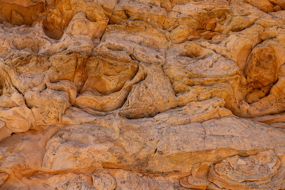 Elaborately eroded Navajo sandstone near South Coyote Buttes, Vermilion Cliffs National Monument, Arizona.