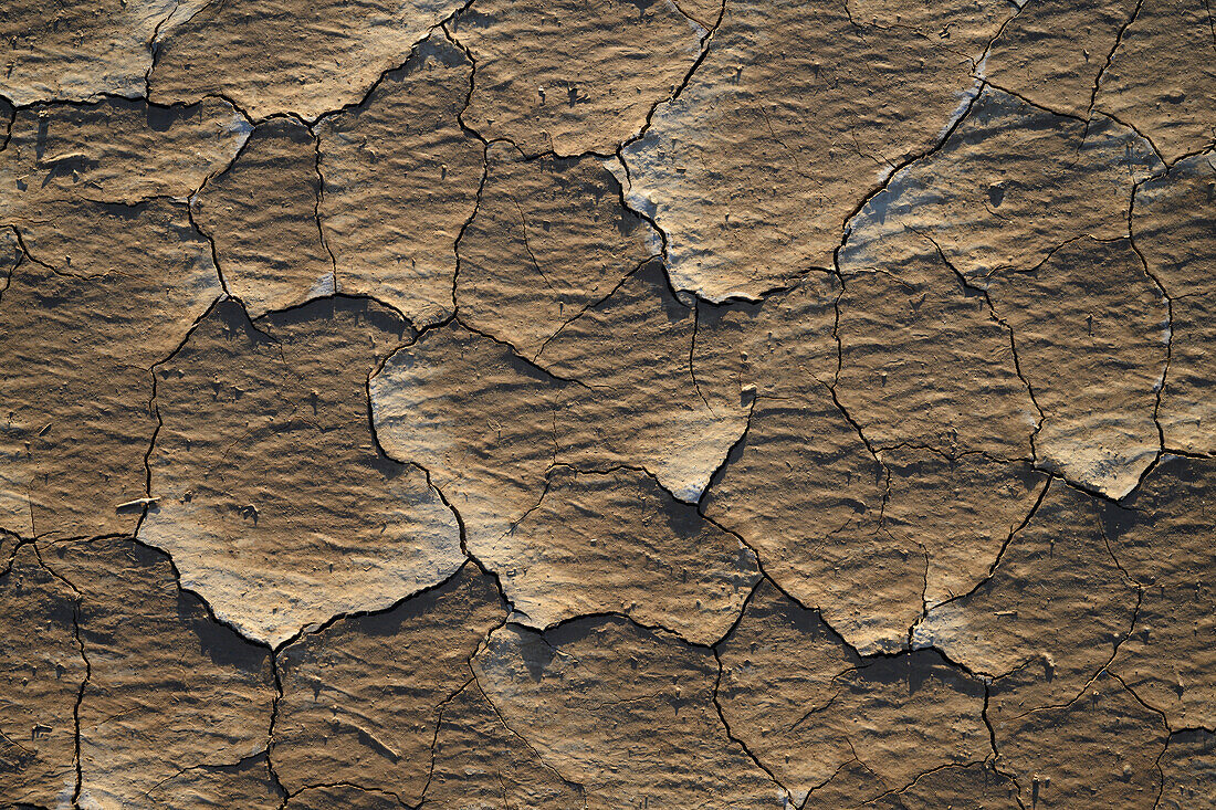 Mud tiles on Panamint Valley playa in Death Valley National Park, California.