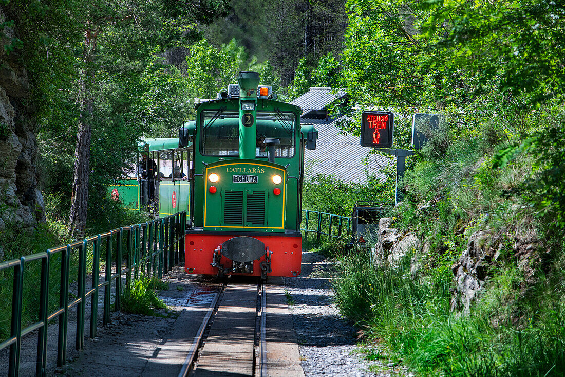 Tren del Ciment, at Jardins Artigas gardens station, La Pobla de Lillet, Castellar de n´hug, Berguedà, Catalonia, Spain.