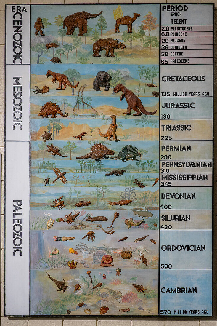 Ein Diagramm, das die geologische und evolutionäre Zeitachse des Lebens auf der Erde zeigt, im Prähistorischen Museum, Price, Utah