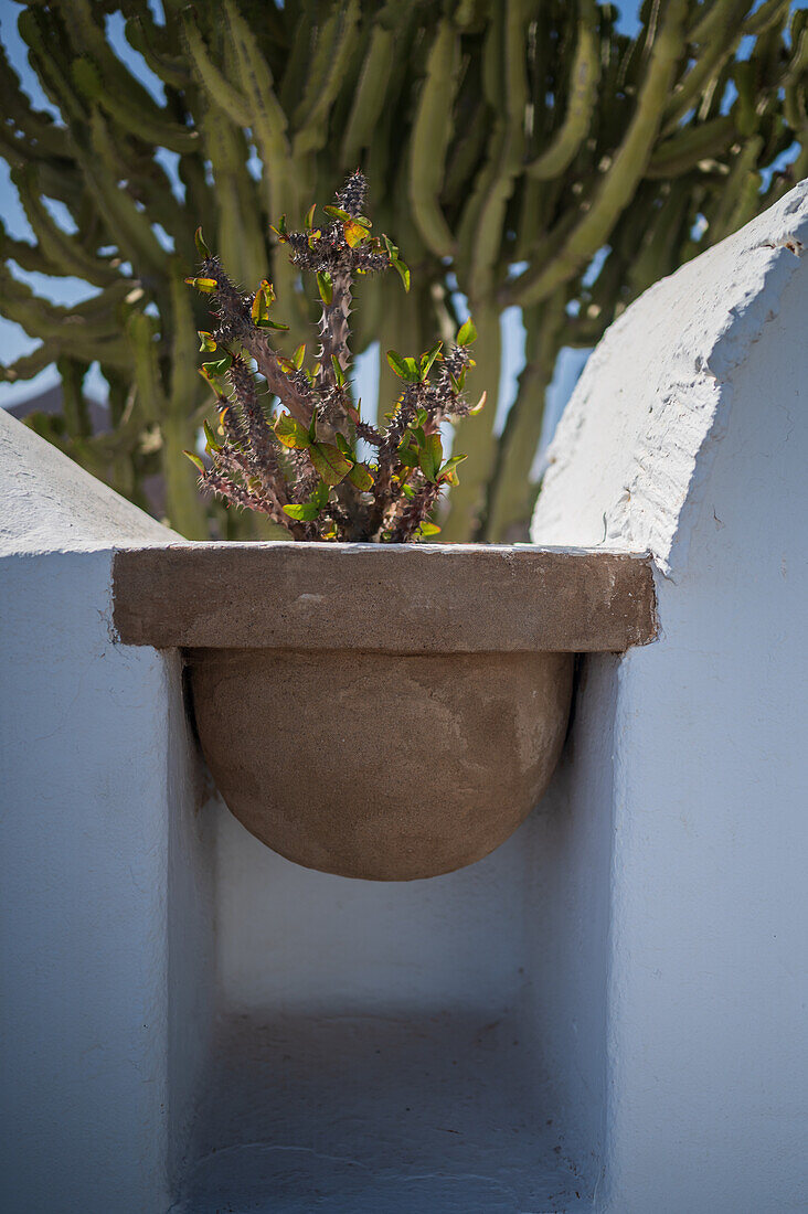 The Lagomar Museum, also known as Omar Sharif's House, unique former home incorporating natural lava caves, now a restaurant, bar & art gallery in Lanzarote, Canary Islands, Spain