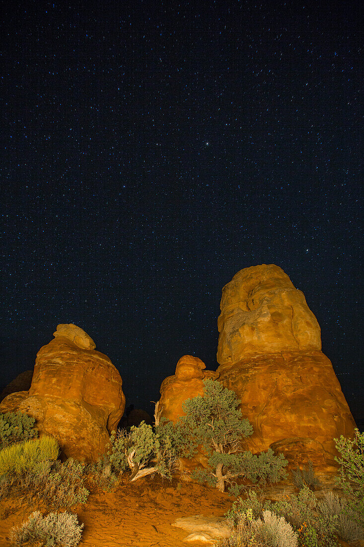 Stars in the night sky over sandstone towers in the Needles District of Canyonlands National Park in Utah.