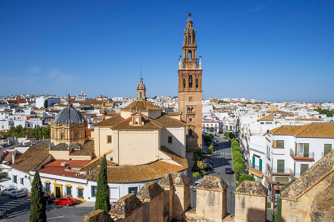 Alcázar puerta de Sevilla (Sevilla-Tor) mit der Kirche San Pedro im Hintergrund, Carmona, Andalusien, Spanien. Altstadt von Carmona Sevilla Andalusien Südspanien