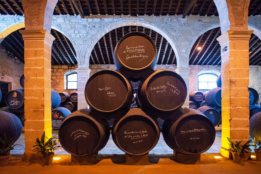 Gestapelte Eichenfässer mit dem berühmten Sherry Tio Pepe, Weinkellerei Bodega Gonzalez Byass, Jerez de la Frontera, Provinz Cadiz, Andalusien, Spanien
