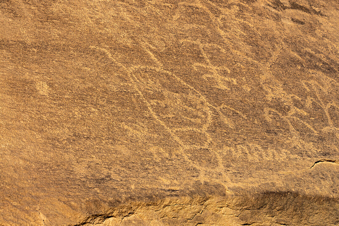 Native American petroglyph panel at the East Four Mile Canyon Interpretive Site, Canyon Pintado National Historic District in Colorado. Pre-Hispanic Native American rock art.