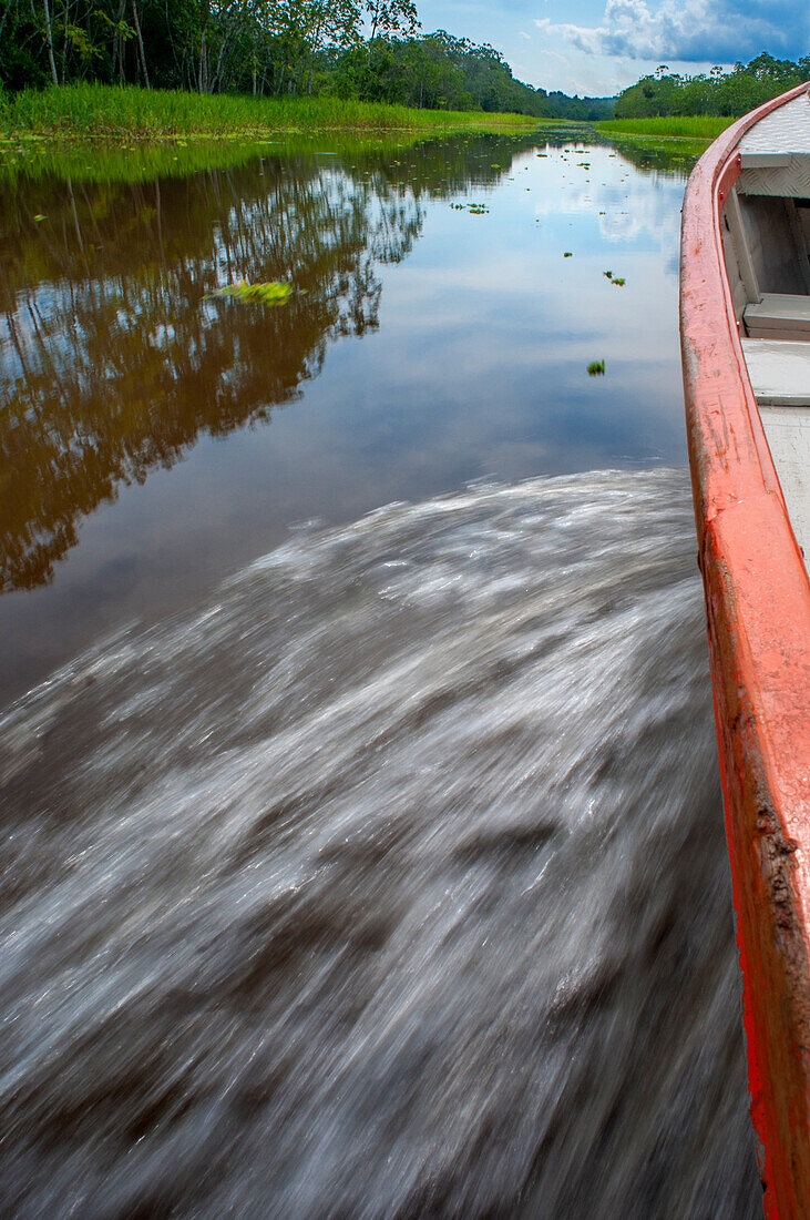 Amazonas-Fluss Expedition mit dem Boot auf dem Amazonas in der Nähe von Iquitos, Loreto, Peru. Fahrt auf einem der Nebenflüsse des Amazonas nach Iquitos, etwa 40 Kilometer nahe der Stadt Indiana