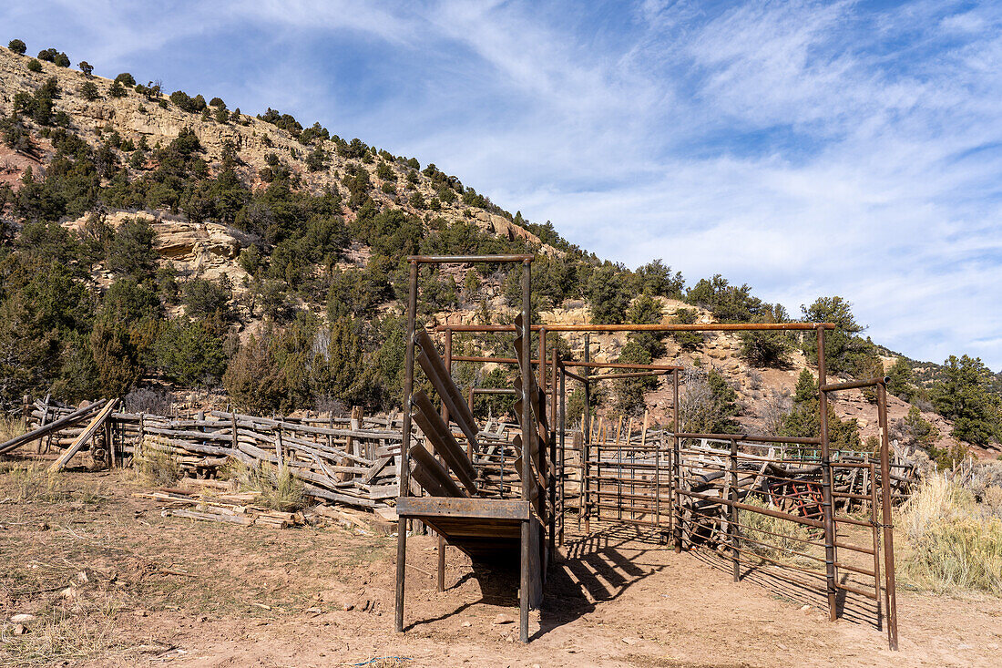 Rinderrutsche und Holzpfahlkorral im Nine Mile Canyon in Utah