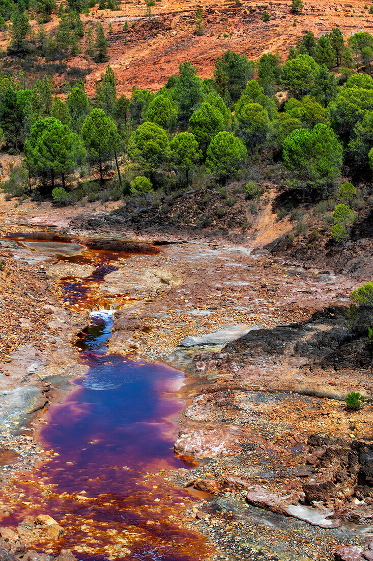 Blutrotes mineralhaltiges Wasser des Rio Tinto Flusses im Minas de Riotinto Bergbaugebiet. Der sehr rote Rio Tinto (Fluss Tinto), Teil des Rio Tinto Minenparks (Minas de Riotinto), Provinz Huelva, Spanien