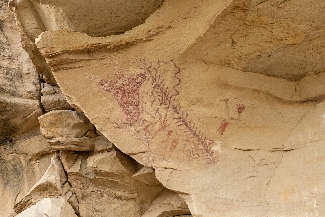 Pre-Hispanic pictographs at the Kokopelli Interpretive Site in the Canyon Pintado National Historic District in Colorado. Pre-Hispanic Native American rock art.