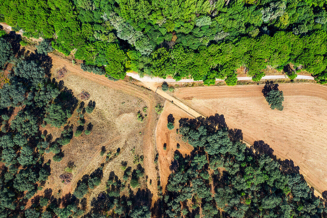 Grünes Naturgebiet und Vegetación Isla Margaria, San Nicolas del Puerto, Sevilla. Andalusien, Spanien