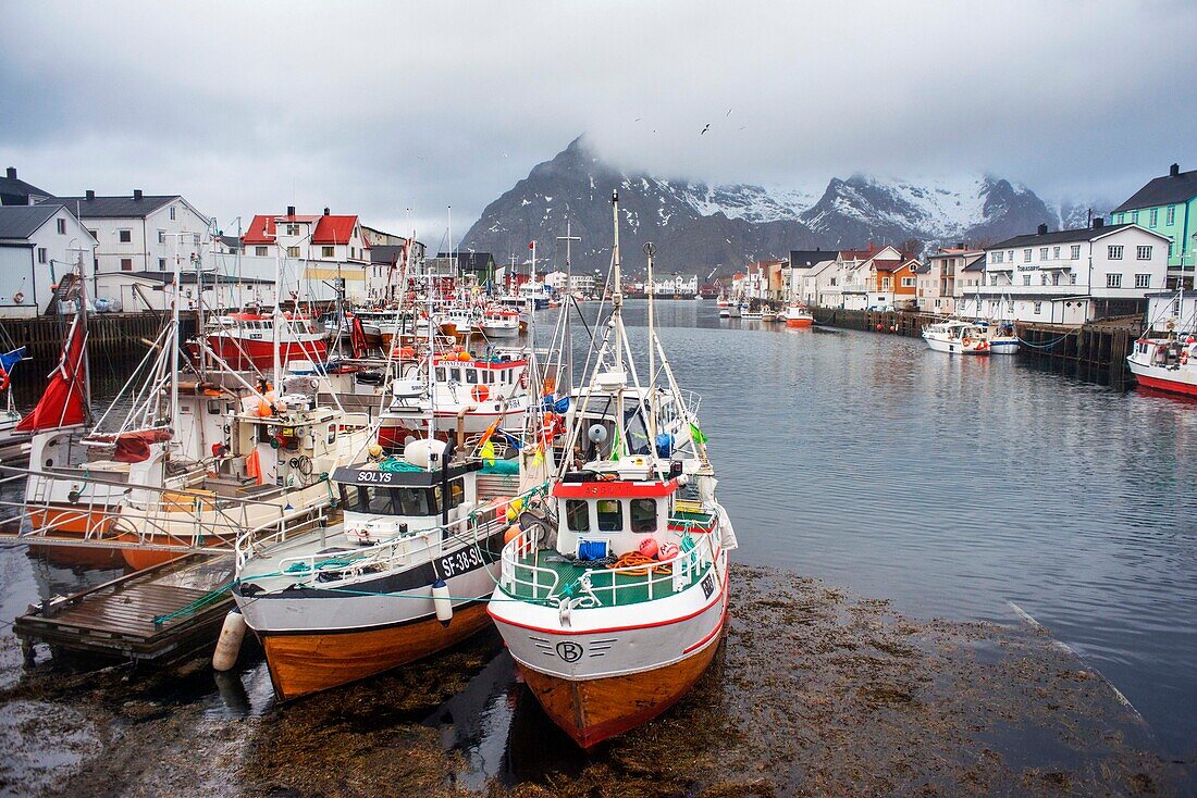 Hafen des Fischerdorfs Henningsvaer auf den Lofoten in Norwegen