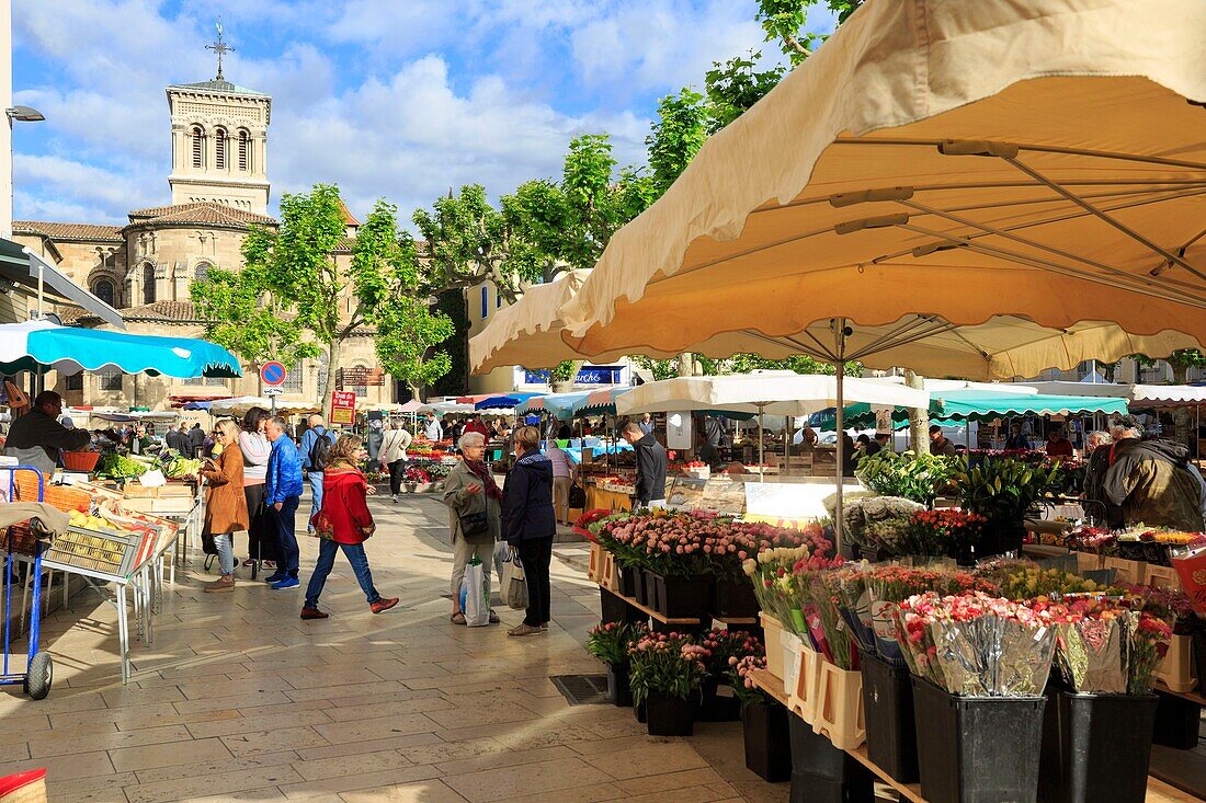 France, Drome, Valence, place des Clercs, market, cathedral Saint Apollinaire (XI) in the background