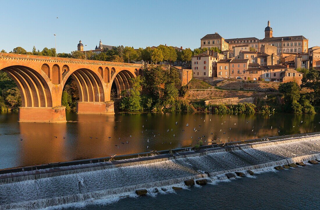 Frankreich, Tarn, Albi, von der UNESCO zum Weltkulturerbe erklärt, die Pont Neuf, das Gymnasium von Laperouse und der Fluss Tarn