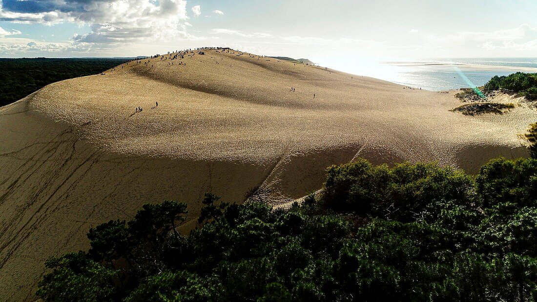 France, Gironde, Bassin d'Arcachon, La Teste-de-Buch, Pyla-sur-mer, Dune du Pilat (aerial view)