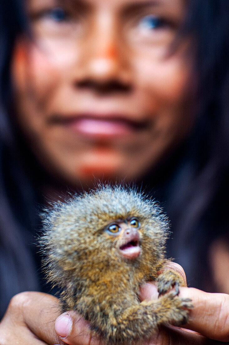 Zwergseidenäffchen als Haustier Yagua-Indianer führen ein traditionelles Leben in der Nähe der amazonischen Stadt Iquitos, Peru