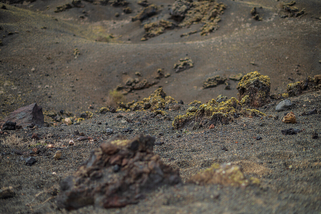 Volcan del Cuervo (Crow volcano) a crater explored by a loop trail in a barren, rock-strewn landscape