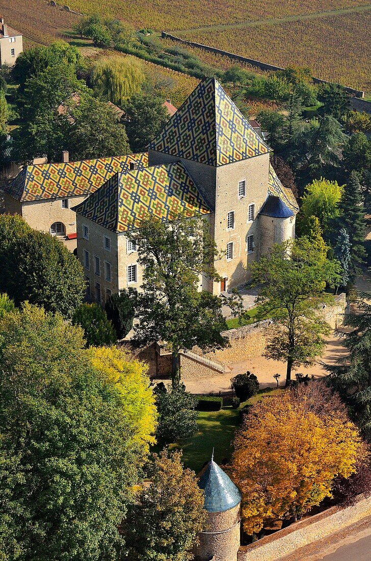 Frankreich, Cote d'Or, Burgund, das von der UNESCO zum Weltkulturerbe erklärt wurde, Santenay, das Schloss mit seinem farbigen und glasierten Ziegeldach (Luftaufnahme)
