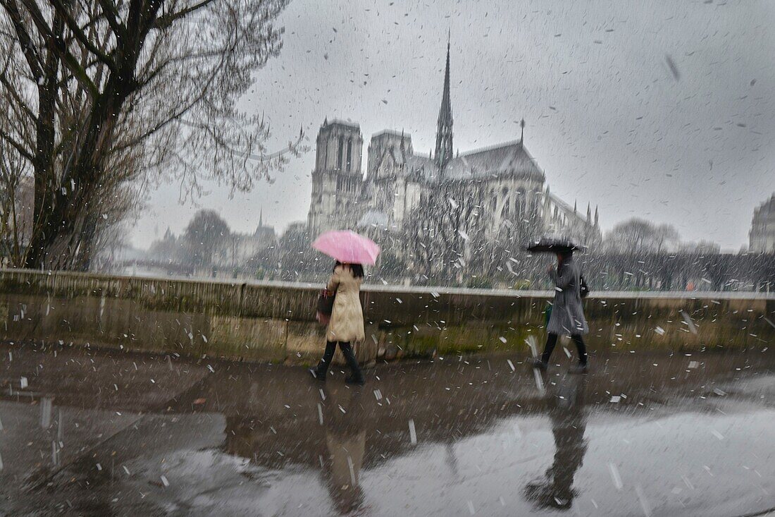 France, Paris, Notre Dame, Mars showers