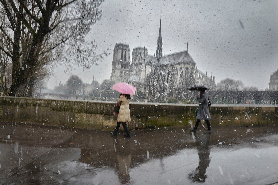 Frankreich, Paris, Notre Dame, Mars-Duschen