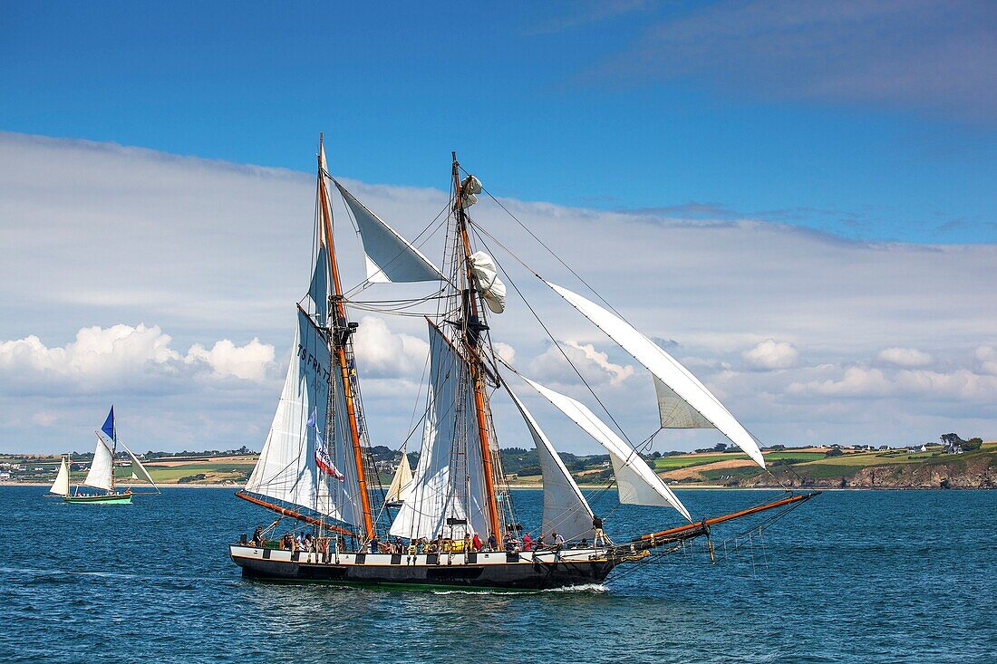 France, Finistere, Douarnenez, Festival Maritime Temps Fête, La Recouvrance, traditional sailboat on the port of Rosmeur