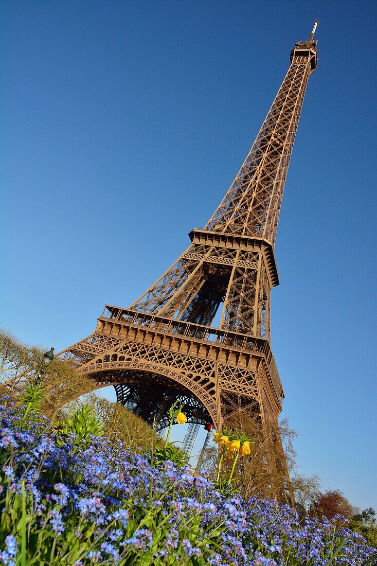 France, Paris, area listed as World Heritage by UNESCO, Champs de Mars, the Eiffel Tower in spring