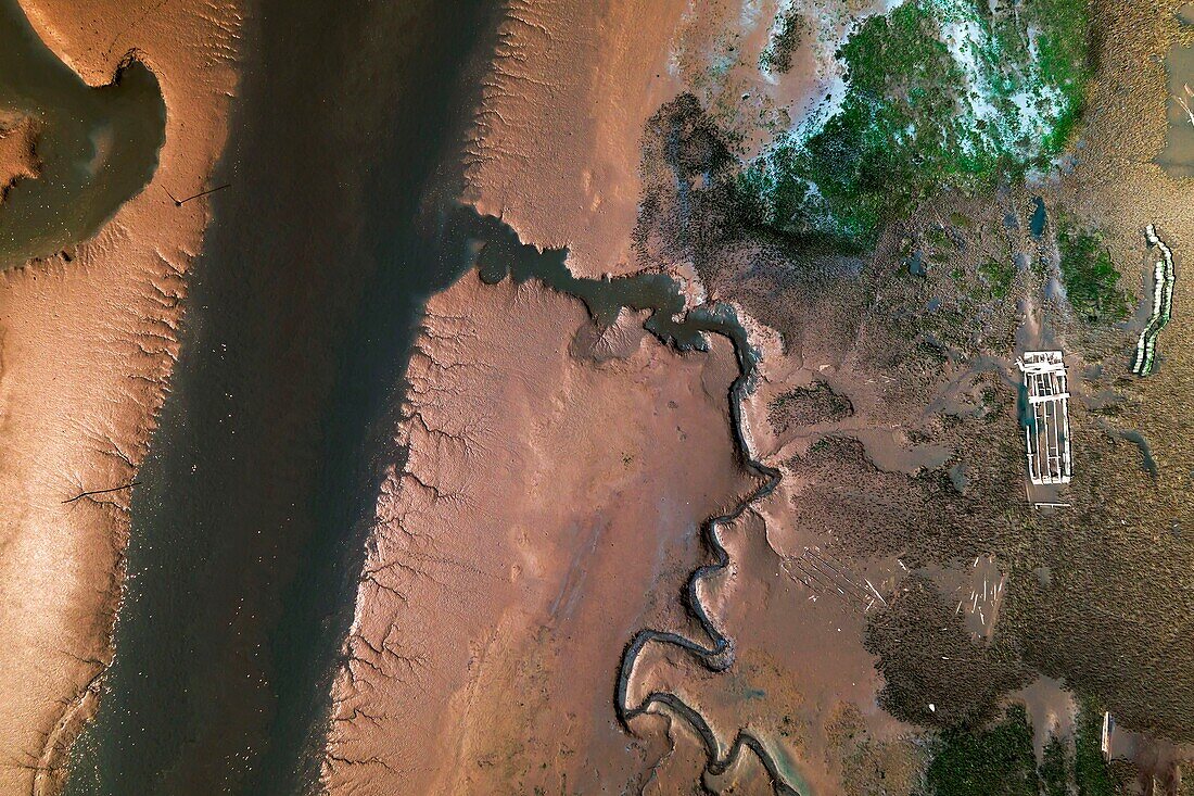 France, Gironde, Bassin d'Arcachon, channel at low tide with a wreck of wooden oyster boat