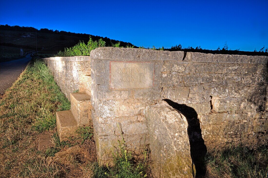 Frankreich, Cote d'Or, Cote de Nuits, Vosne Romanee, Weinberg Romanee Conti