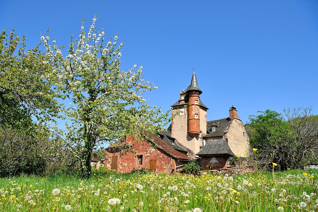 Frankreich, Correze, Collonges la Rouge, Bezeichnung Les Plus Beaux Villages de France (Die schönsten Dörfer Frankreichs), Dorf aus rotem Sandstein, Schloss Maussac