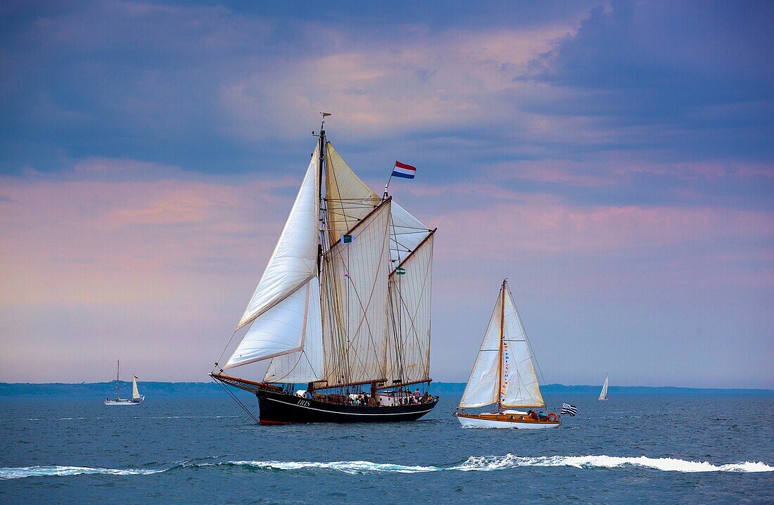 Frankreich, Finistere, Douarnenez, Festival Maritime Temps Fête, Iris, traditionelles Segelboot im Hafen von Rosmeur