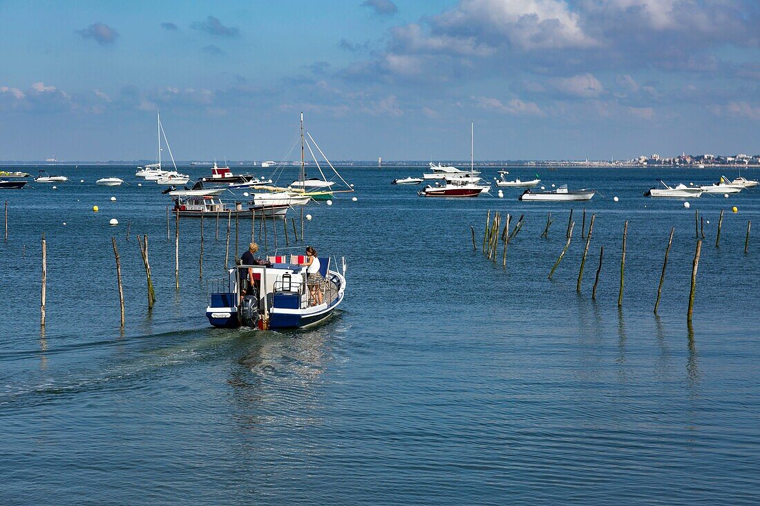 France, Gironde, Bassin d'Arcachon, Cap Ferret, Le Canon, oyster port, Le Chai Gris, rental of barge for a stroll on the Bassin