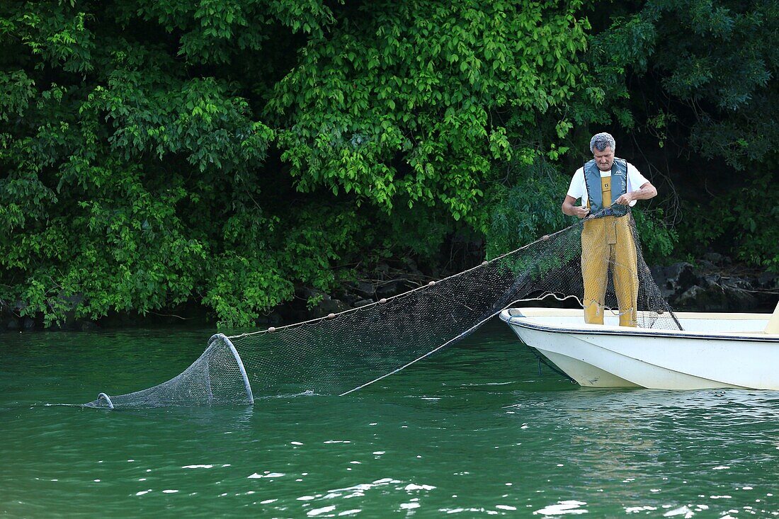 France, Drome, Valence, eel fishing on the Vieux Rhone upstream of Valence