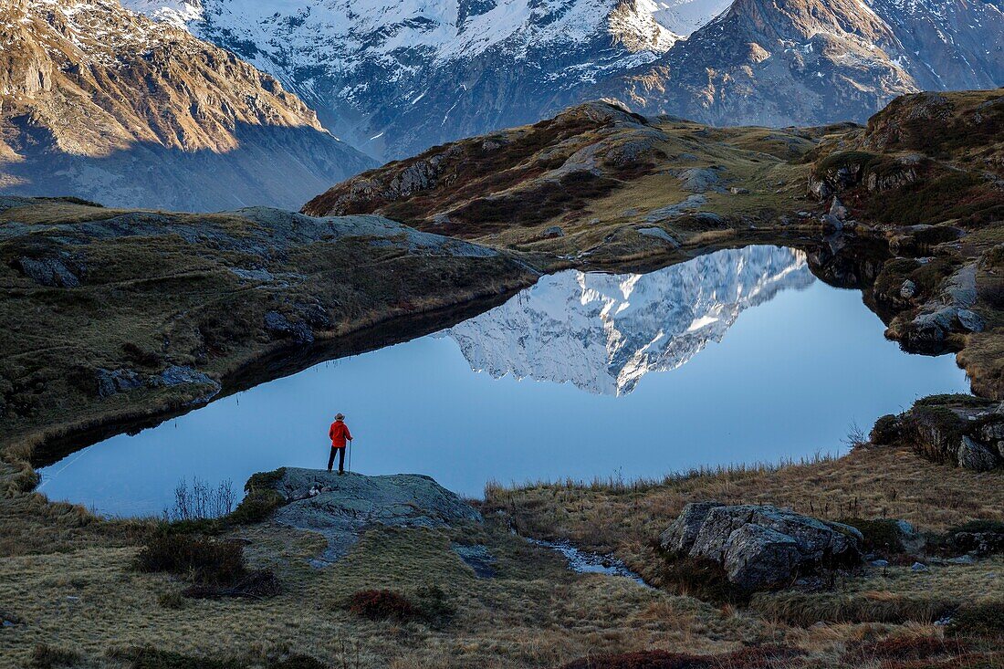 France, Hautes Alpes, national park of Ecrins, valley of Valgaudemar, La Chapelle en Valgaudémar, reflection of Sirac (3441m) on the lake of Lauzon (2008m)