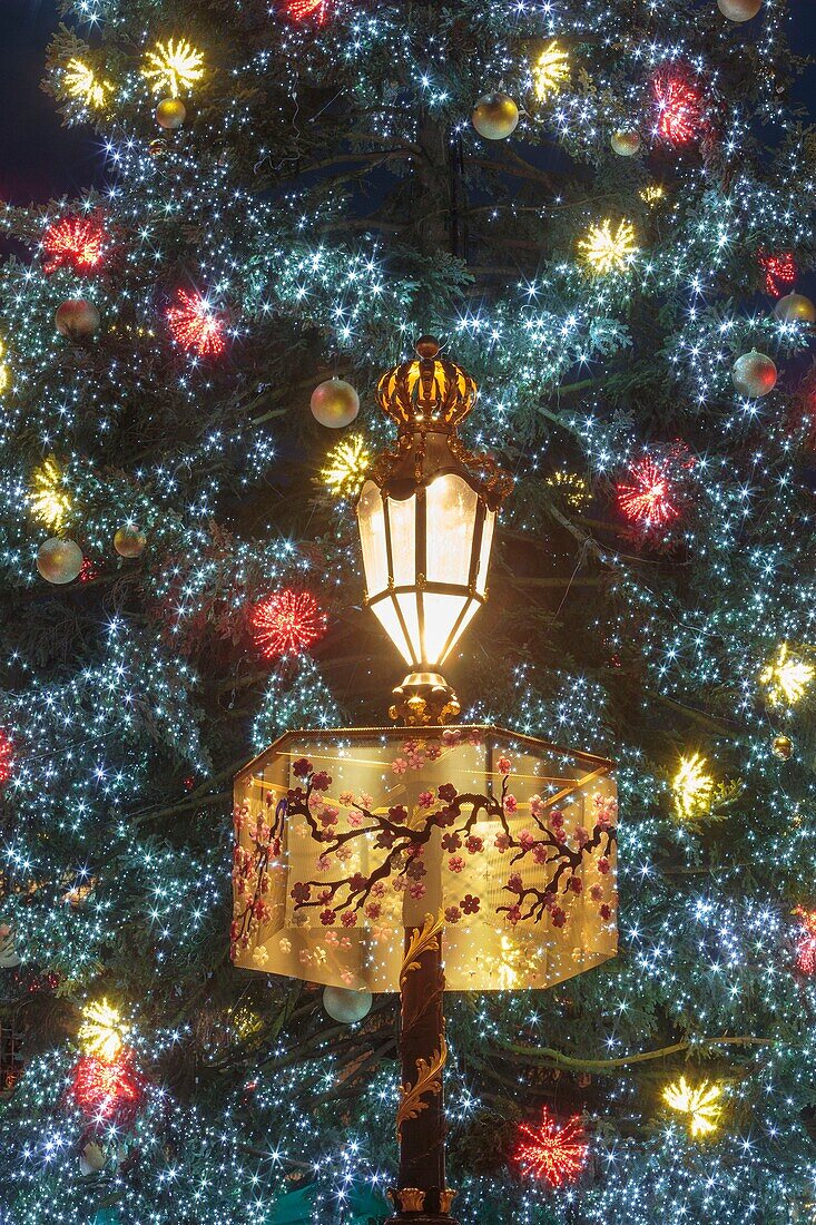 Frankreich, Meurthe et Moselle, Nancy, Weihnachtsbaum auf dem Place Stanislas, der von der UNESCO zum Weltkulturerbe erklärt wurde, und Straßenlaterne von Jean Lamour