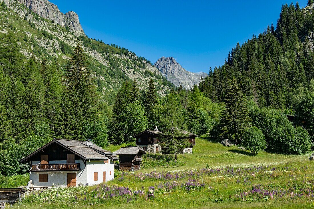 Frankreich, Haute Savoie, Mont Blanc Massiv, Chamonix Mont Blanc, Weiler Tre le Champ an der Straße zum Montets-Pass