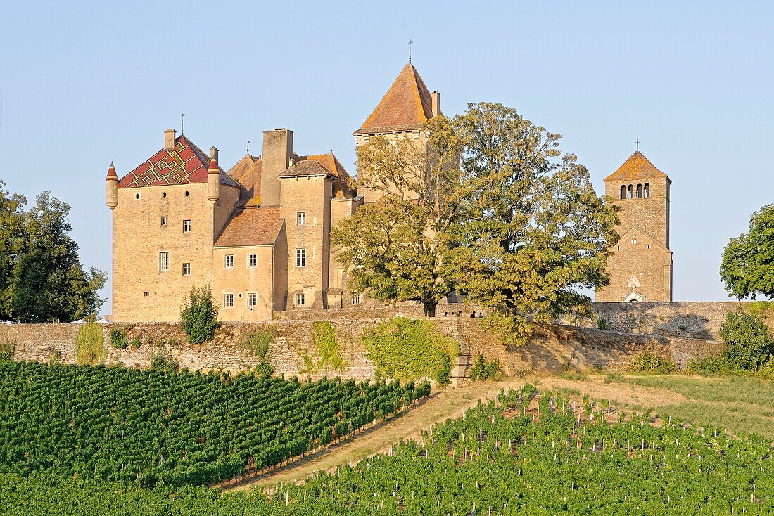 France, Saone et Loire, Pierreclos, castle of Pierreclos