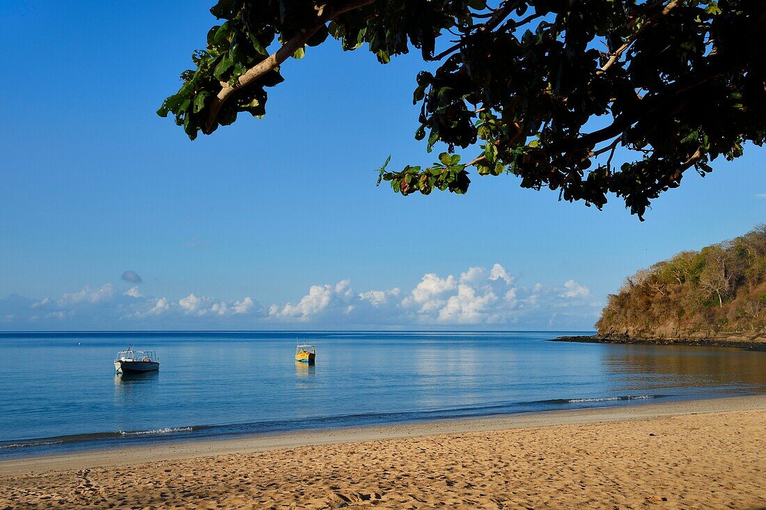 Frankreich, Insel Mayotte (französisches Überseedepartement), Grande Terre, Kani Keli, Strand von N'Gouja, der Garten von Maore