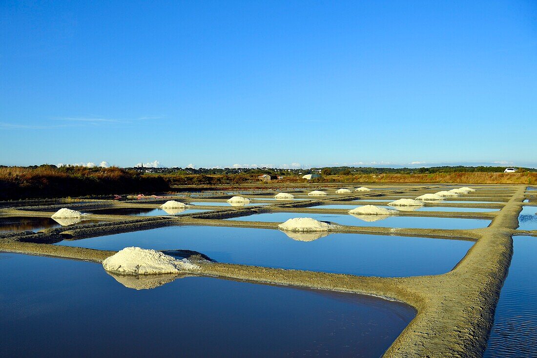 Frankreich, Loire Atlantique, Parc Naturel Regional de la Briere (Regionaler Naturpark Briere), Presqu'ile de Guerande (Halbinsel Guerande), Salzwiesen von Guerande