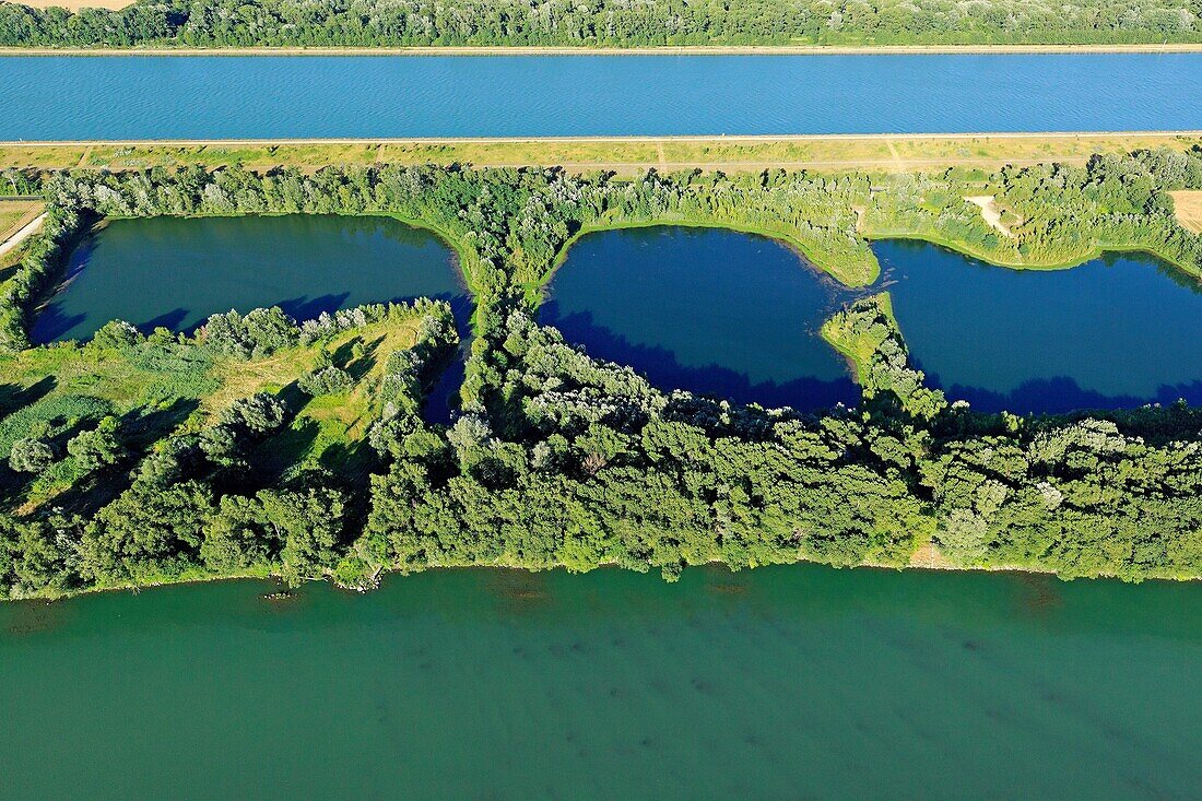 Frankreich, Drome, Saulce sur Rhone, die Inseln, die Vieux Rhone und die Rhone im Hintergrund (Luftaufnahme)