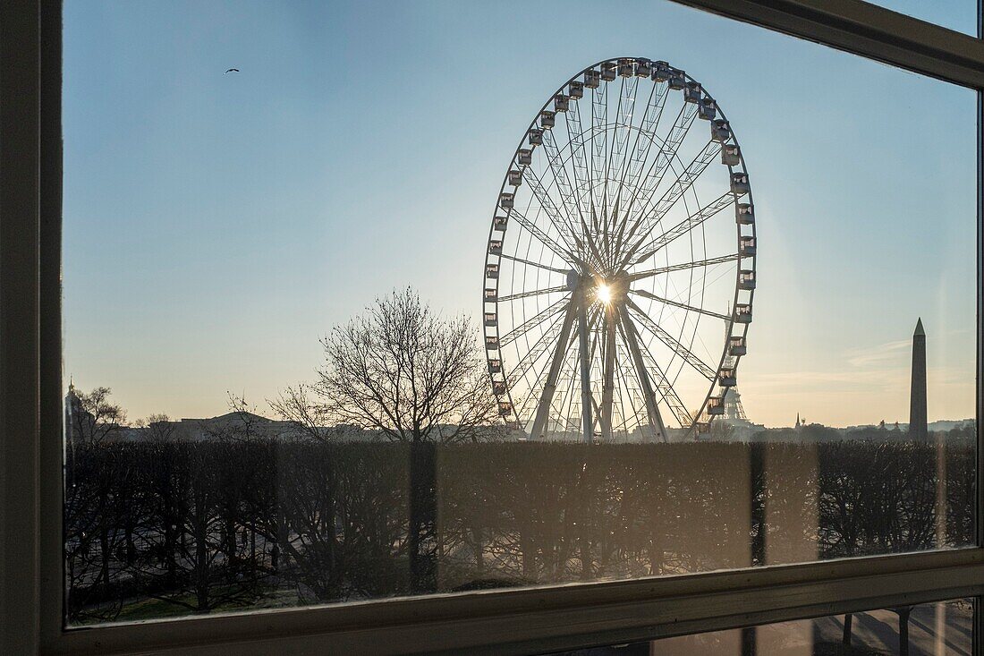 France, Paris, area listed as World Heritage by UNESCO, Tuileries Garden, The Great Wheel seen from the Orangery Museum