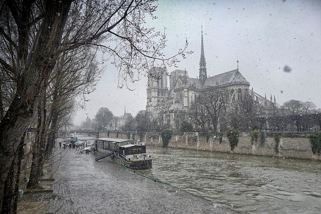 France, Paris, Notre Dame, Mars showers