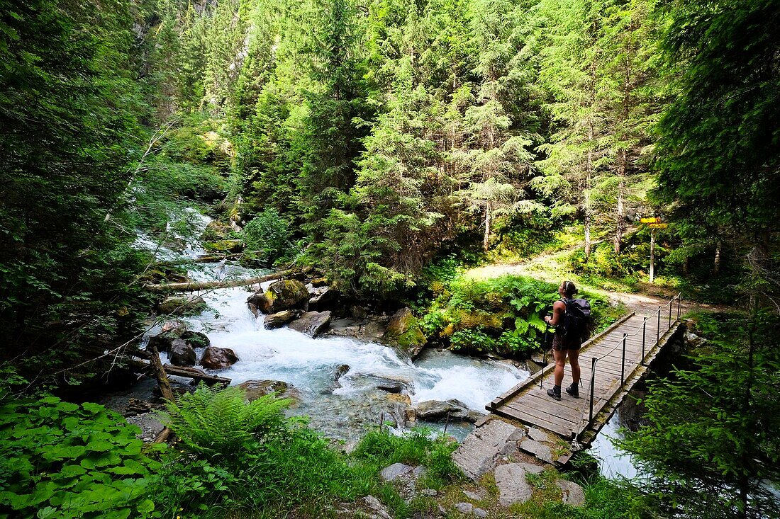 France, Isere, Saint-Christophe-en-Oisans, Mariande's river